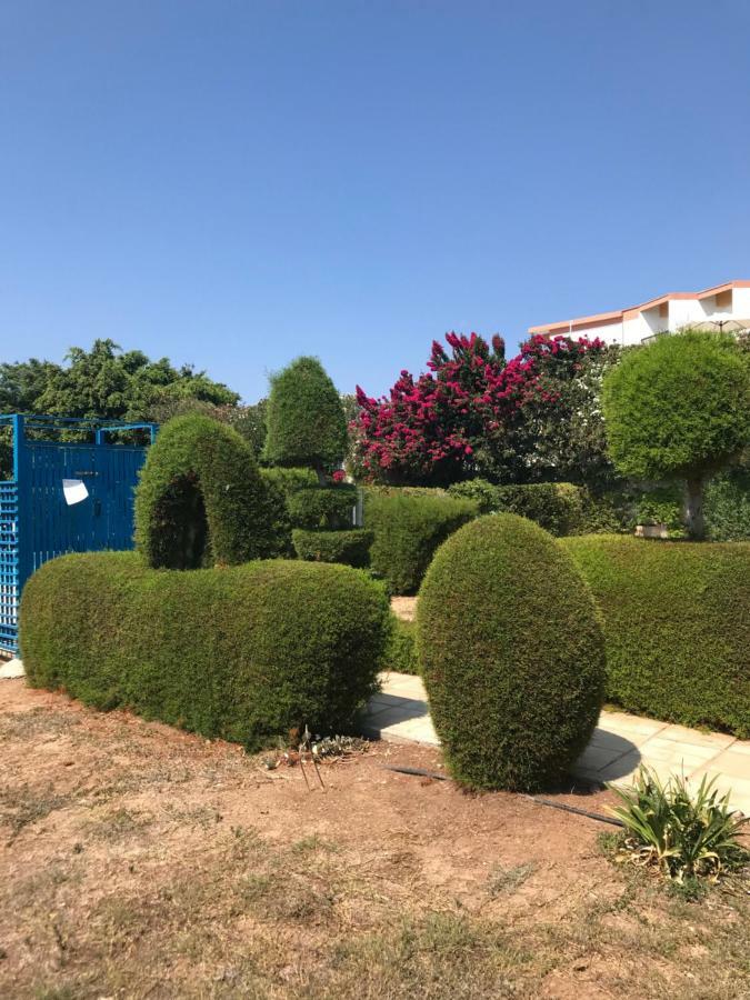 2 Bedroom Apartment-Mediterranean Type Paphos Bagian luar foto